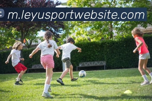 乐鱼体育服务体系