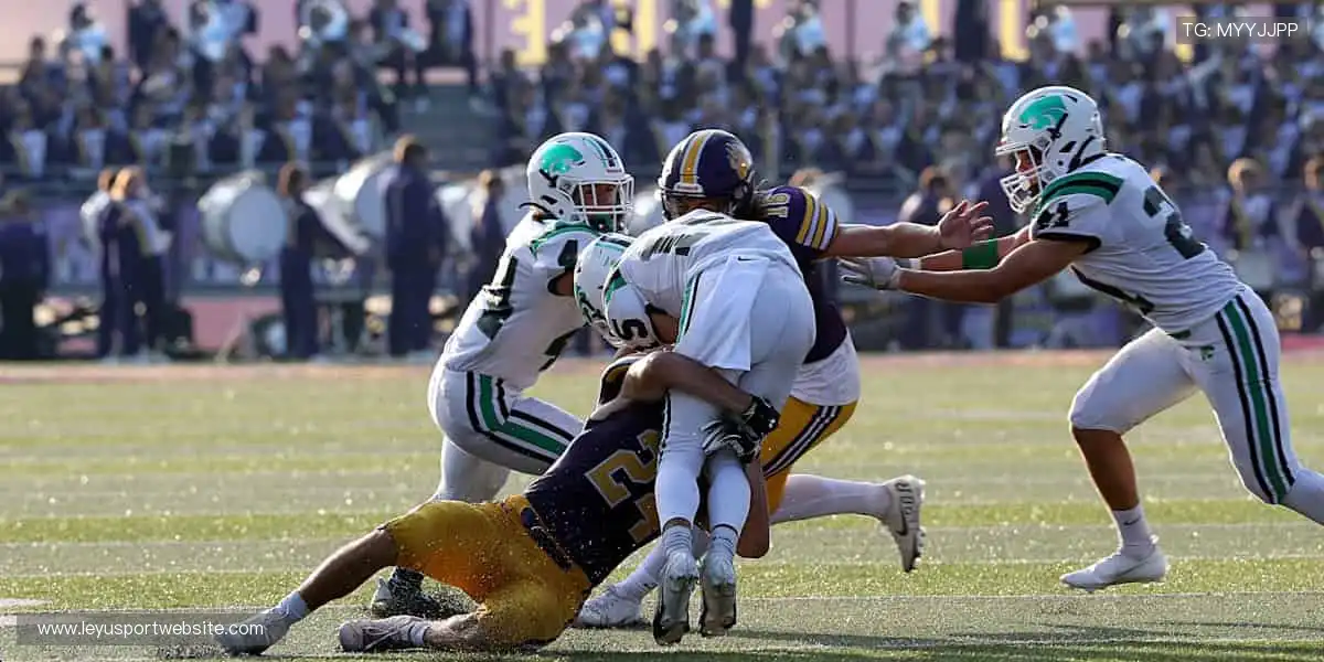 专业解说全程相伴，观赛体验升级不止🌟